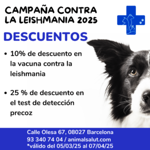 Campaña 2025 contra la leishmaniosis en perros: descuentos en vacuna y test de detección precoz.